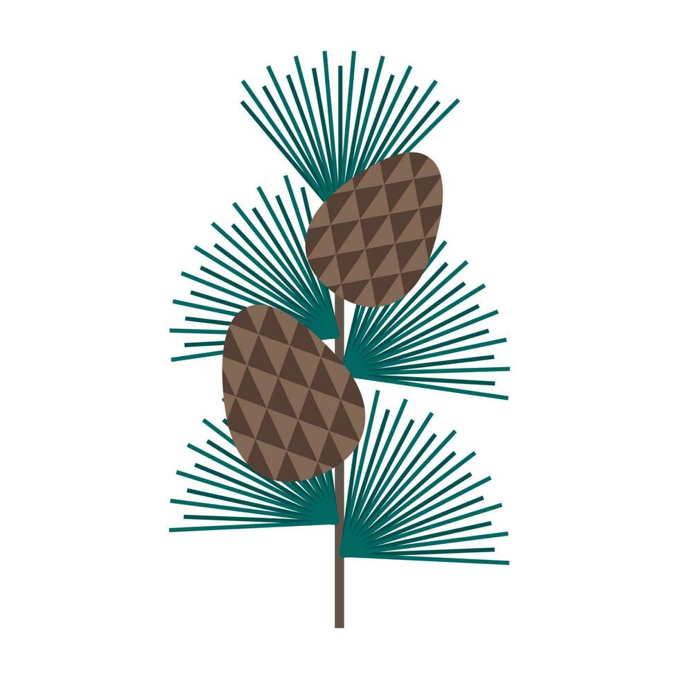 Simple minimalistic green branch of a cedar with needles and brown pine cone. Floral collection of elegant plants for seasonal decoration. Stylized icons of botany. Stock vector illustration