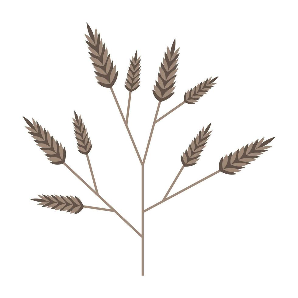 Simple minimalistic branch of cereal grain plant. Beige stem with inflorescences spikelets. Nature collection of elegant plants for seasonal decoration . Stylized icons of botany. vector