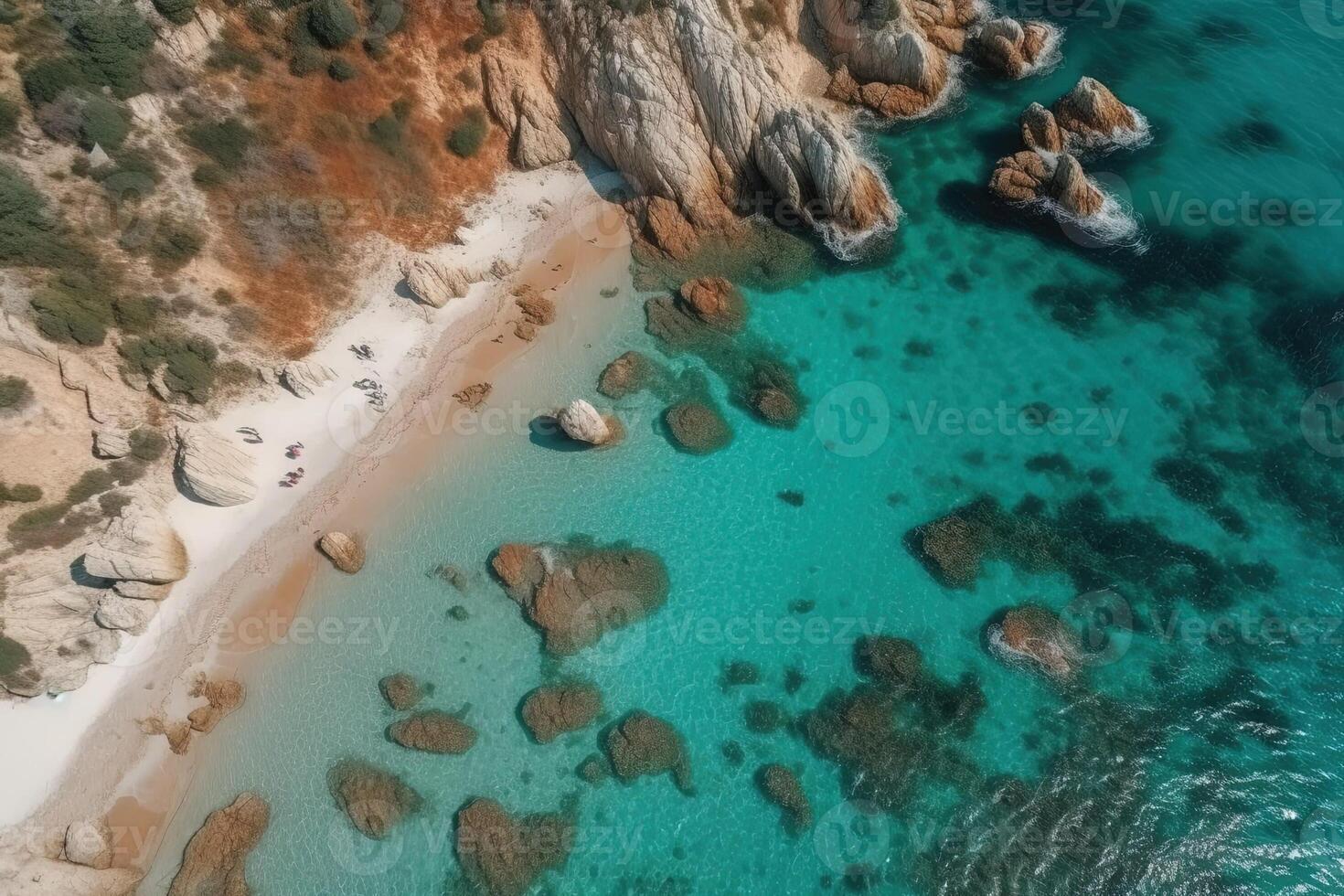 Aerial view of umbrellas, palms on the sandy beach on Ocean . Top view illustration photo