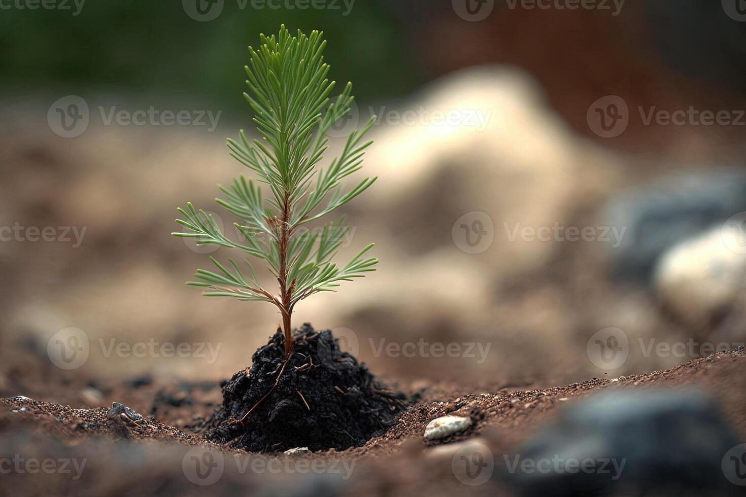 joven pino árbol planta de semillero ilustración generativo ai foto