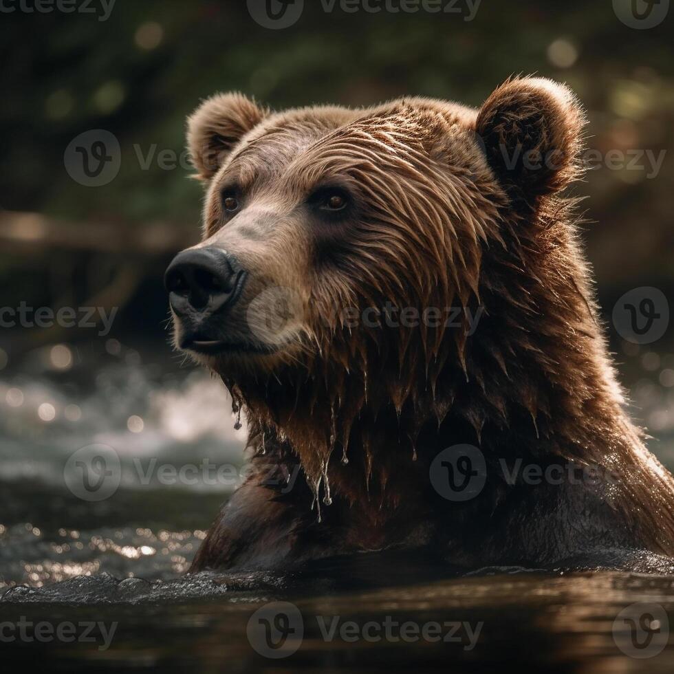 Wild bear in natural habitat photo