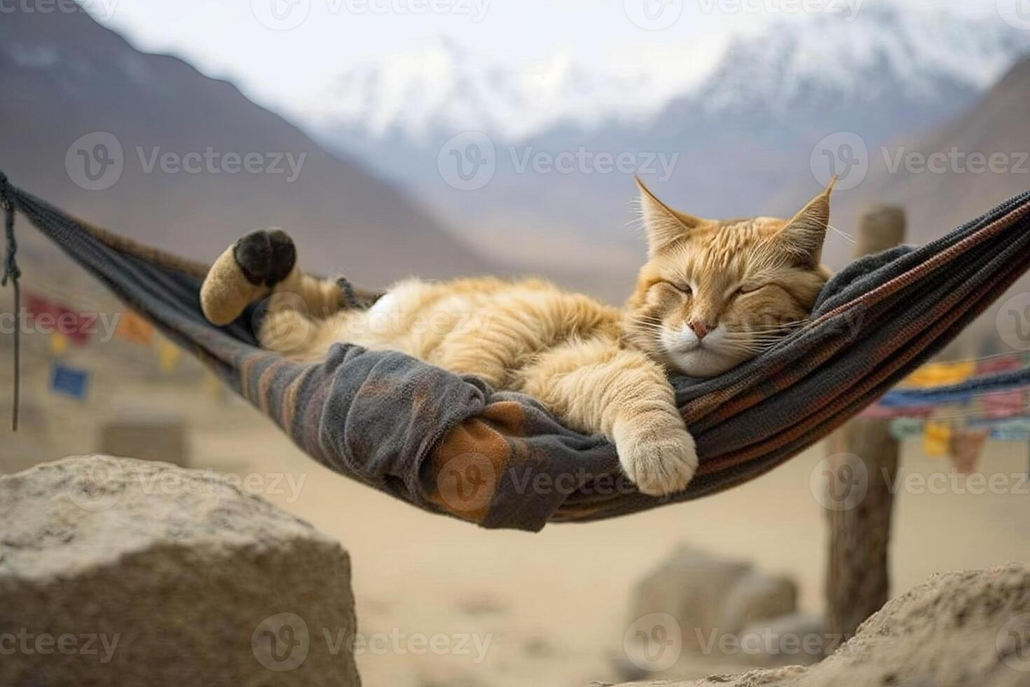 A bored cat sleeping on a hammock in front of the himalaya illustration photo