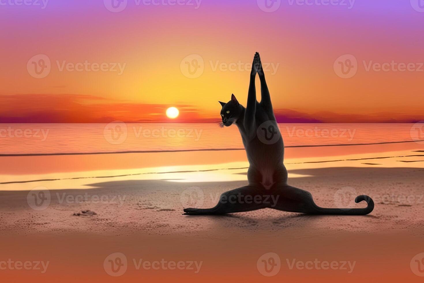 cat practicing yoga on the beach at sunset illustration photo