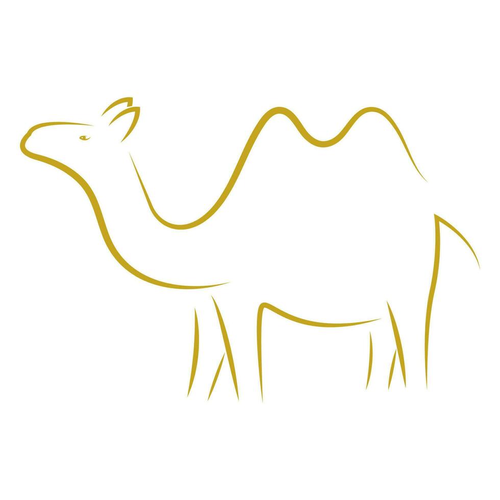 camel vector illustration design