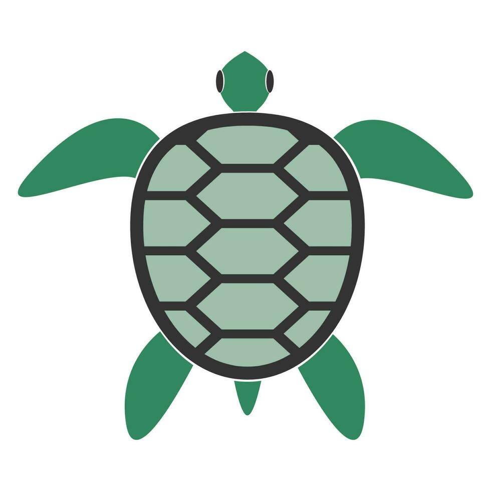 Tortuga vector ilustración diseño