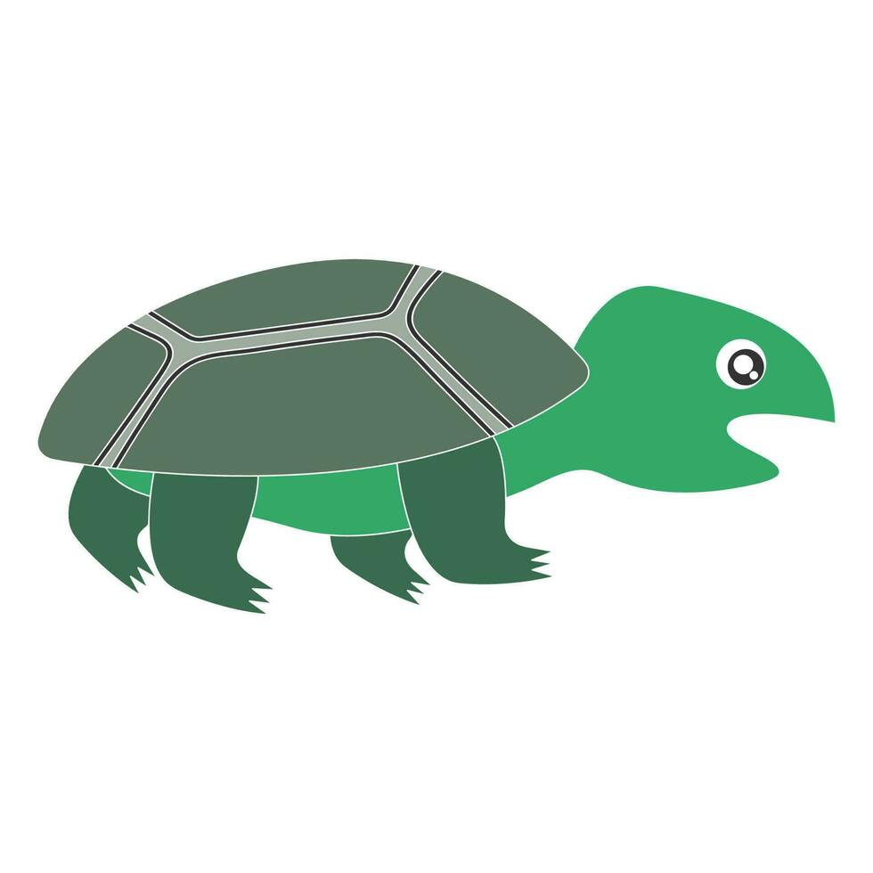 Tortuga vector ilustración diseño