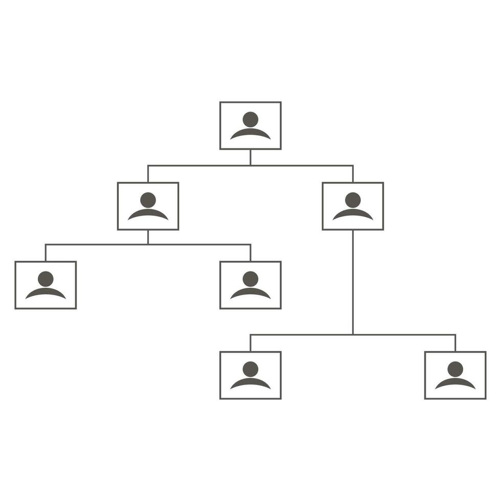 organización estructura vector diseño