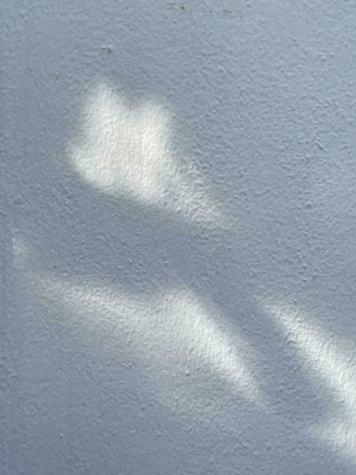 Leaves shadow background on concrete wall texture, leaves tree branches shade with sunlight photo