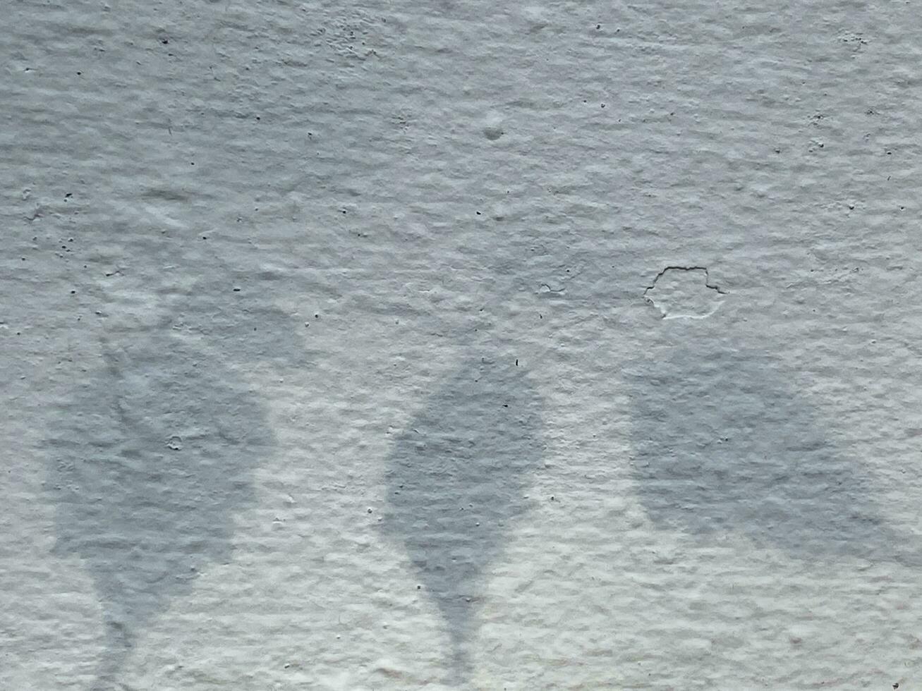 Shadow leaves on old wall background photo