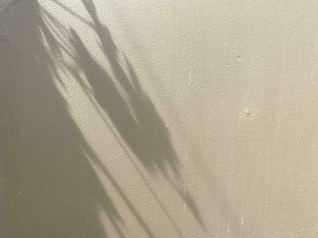 Leaves shadow background on concrete wall texture, leaves tree branches shade with sunlight photo