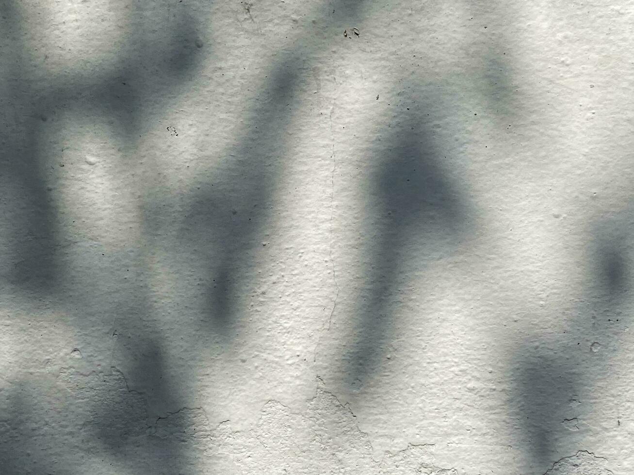 Leaves shadow background on concrete wall texture, leaves tree branches shade with sunlight photo