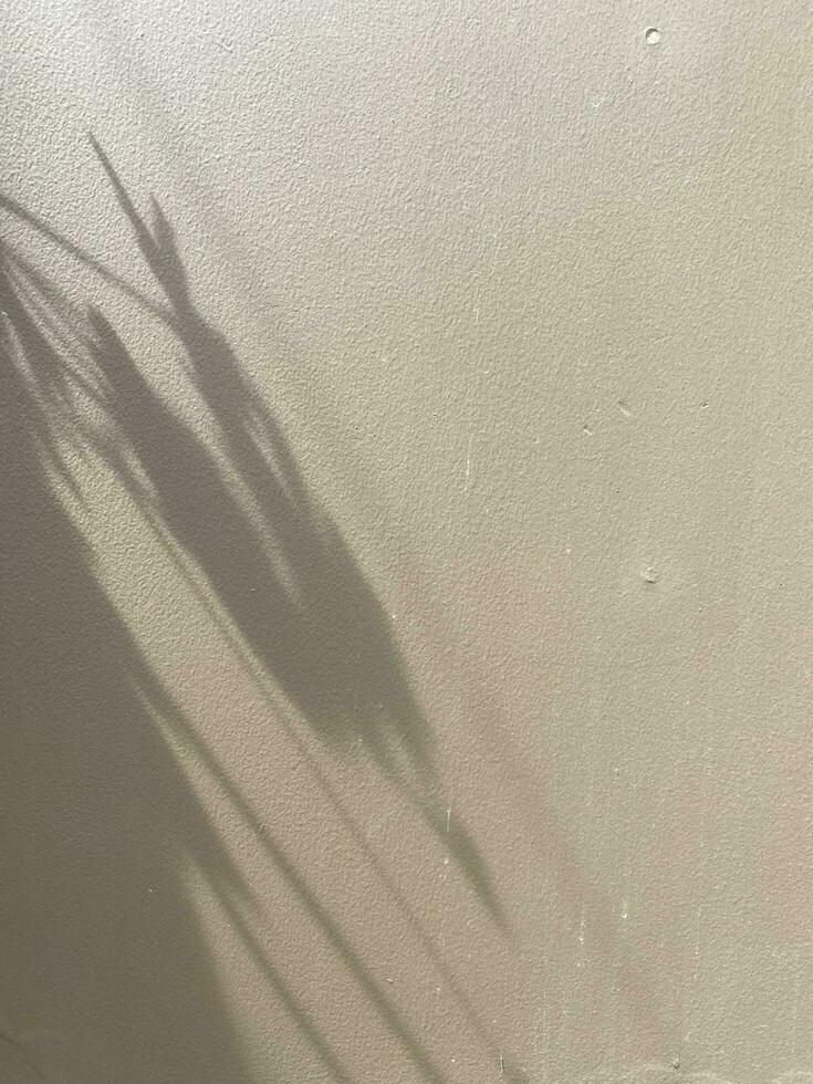 Leaves shadow background on concrete wall texture, leaves tree branches shade with sunlight photo