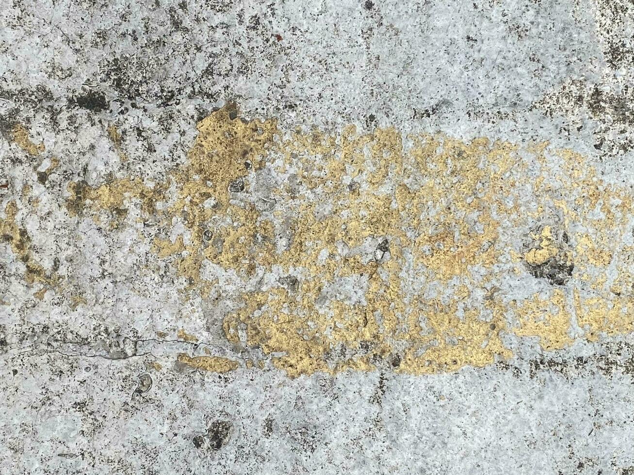 Old concrete wall photo