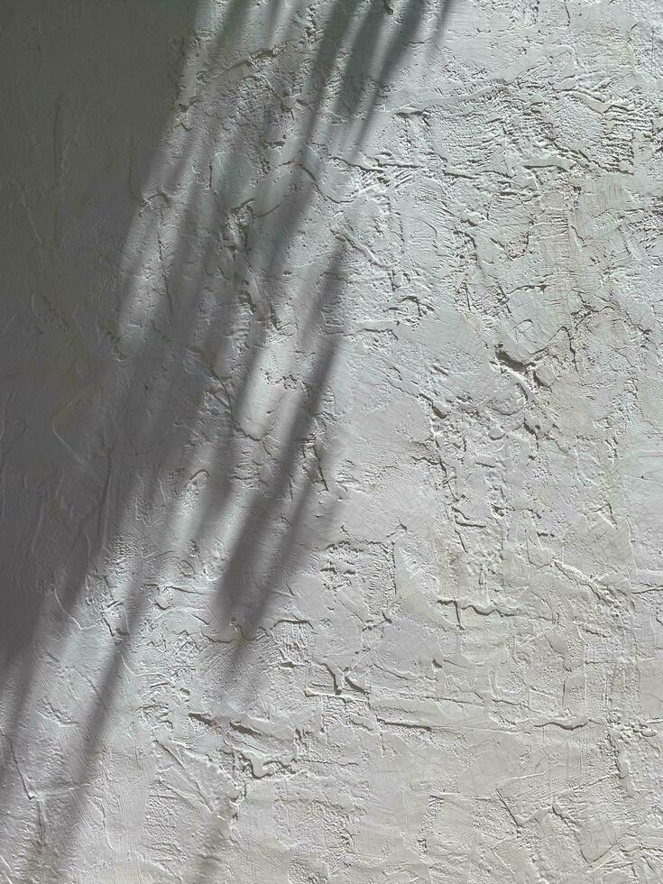 Leaves shadow background on concrete wall texture, leaves tree branches shade with sunlight photo