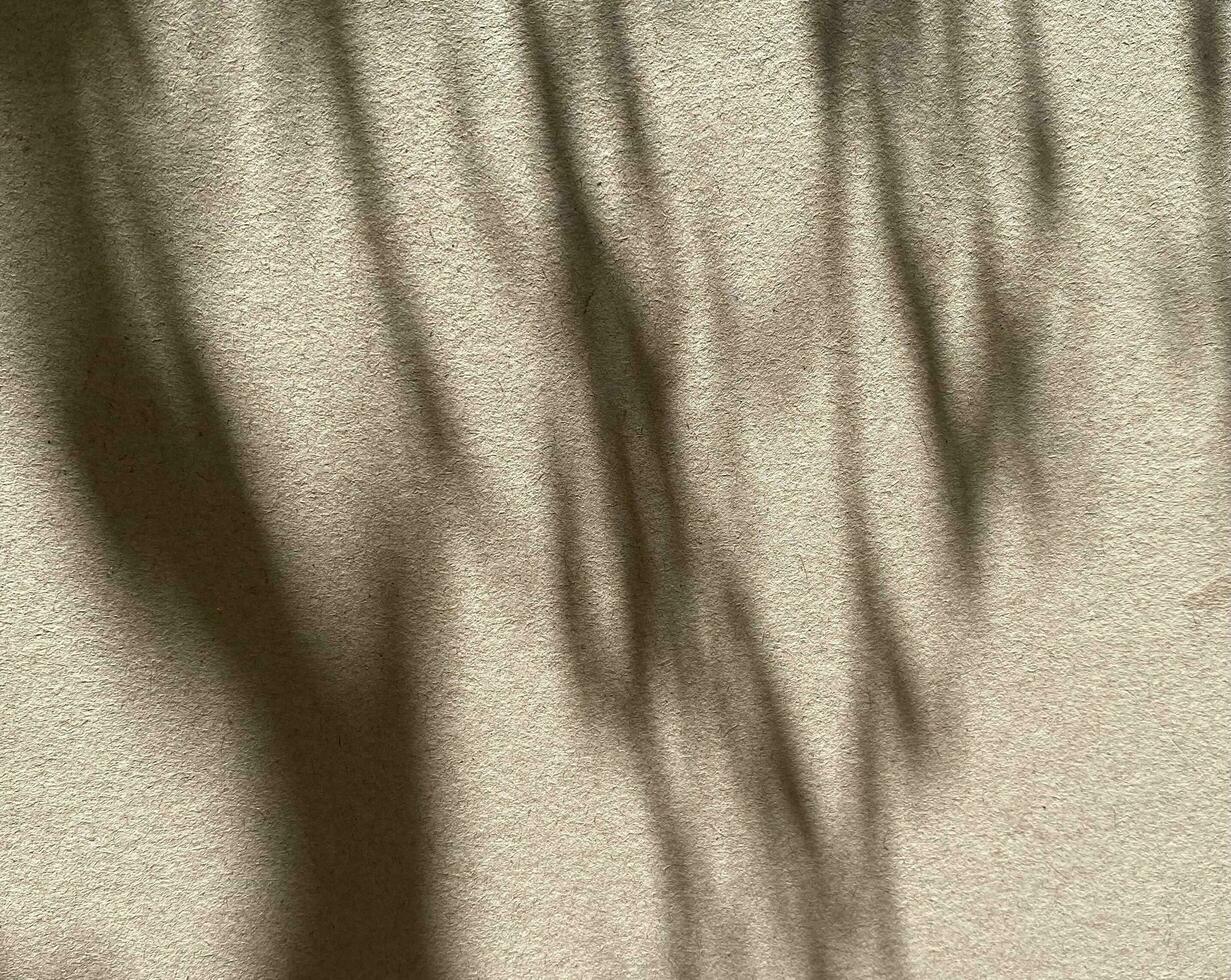 Leaves shadow background on concrete wall texture, leaves tree branches shade with sunlight photo
