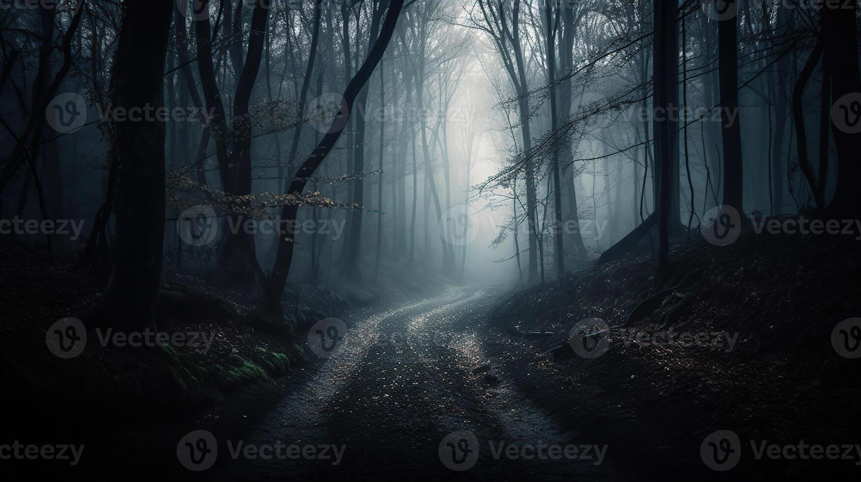 Fog In Spooky Forest At Moon Light On Asphalt. photo