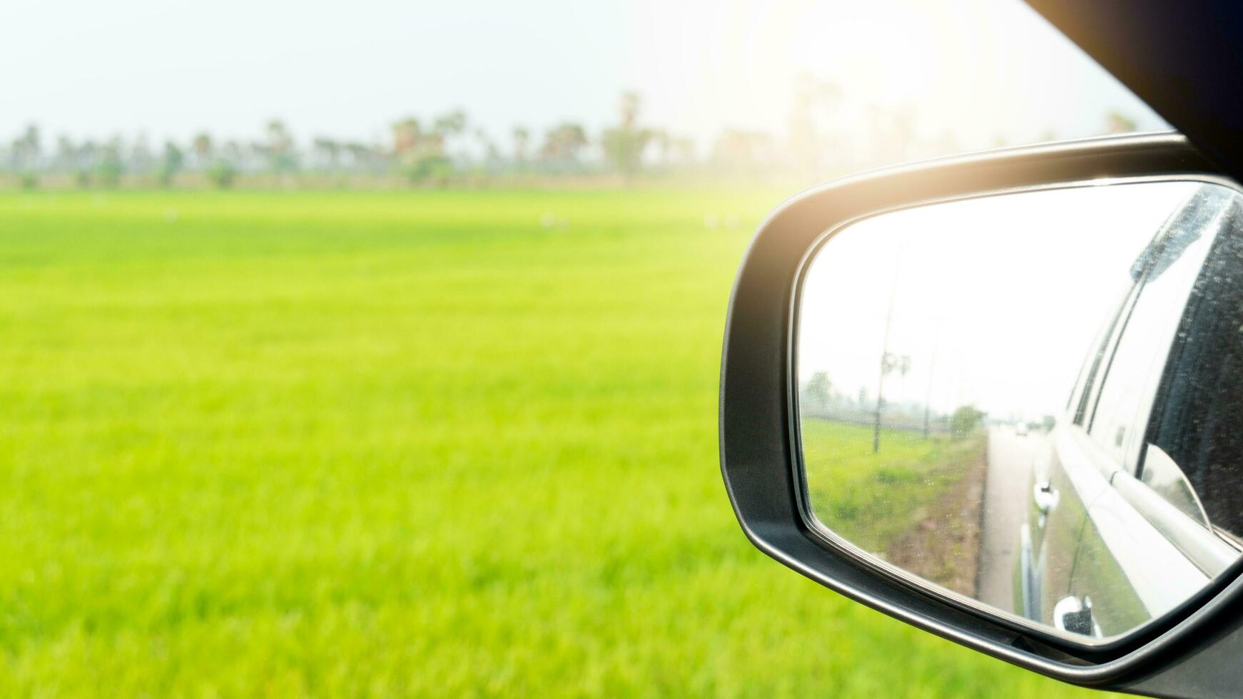 View of beside mirror wing of car can view cars behind in the distance on asphalt road. background image is a yellow-green rice field in the morning. photo