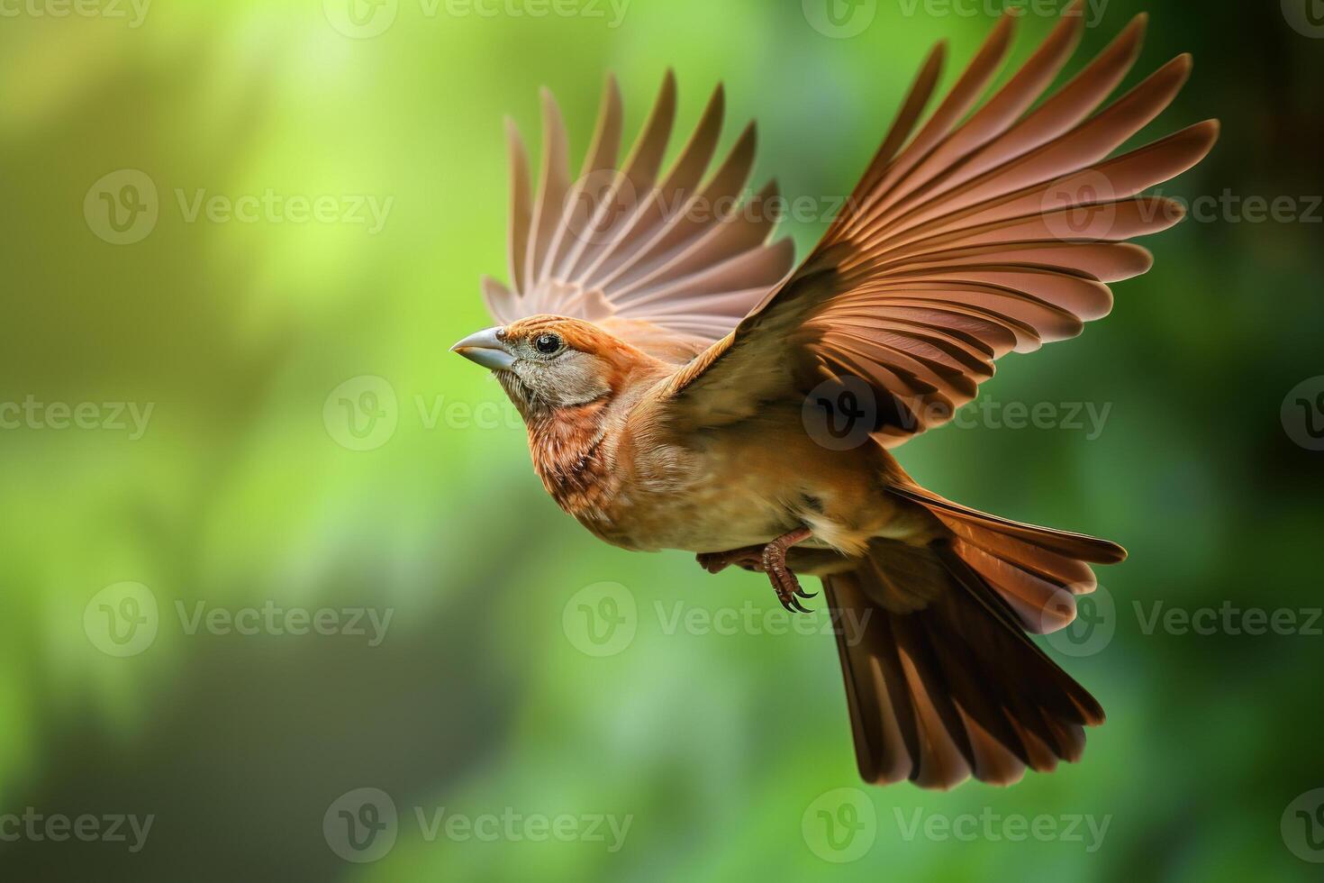 majestic bird in flight against a blurred background. photo