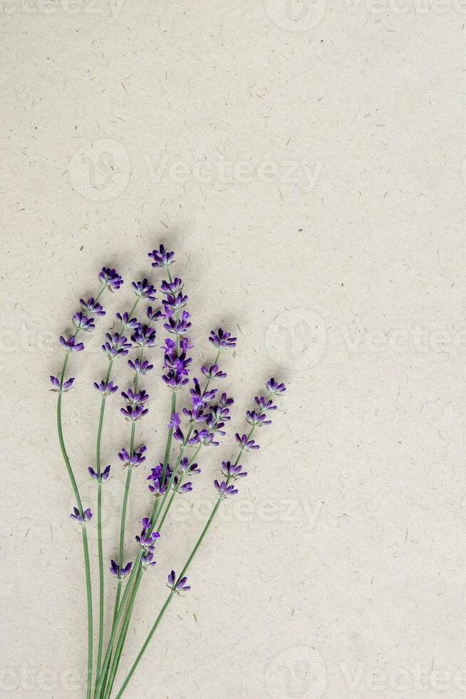 Natural lavender flowers on craft paper background. Floral background with selective focus. photo