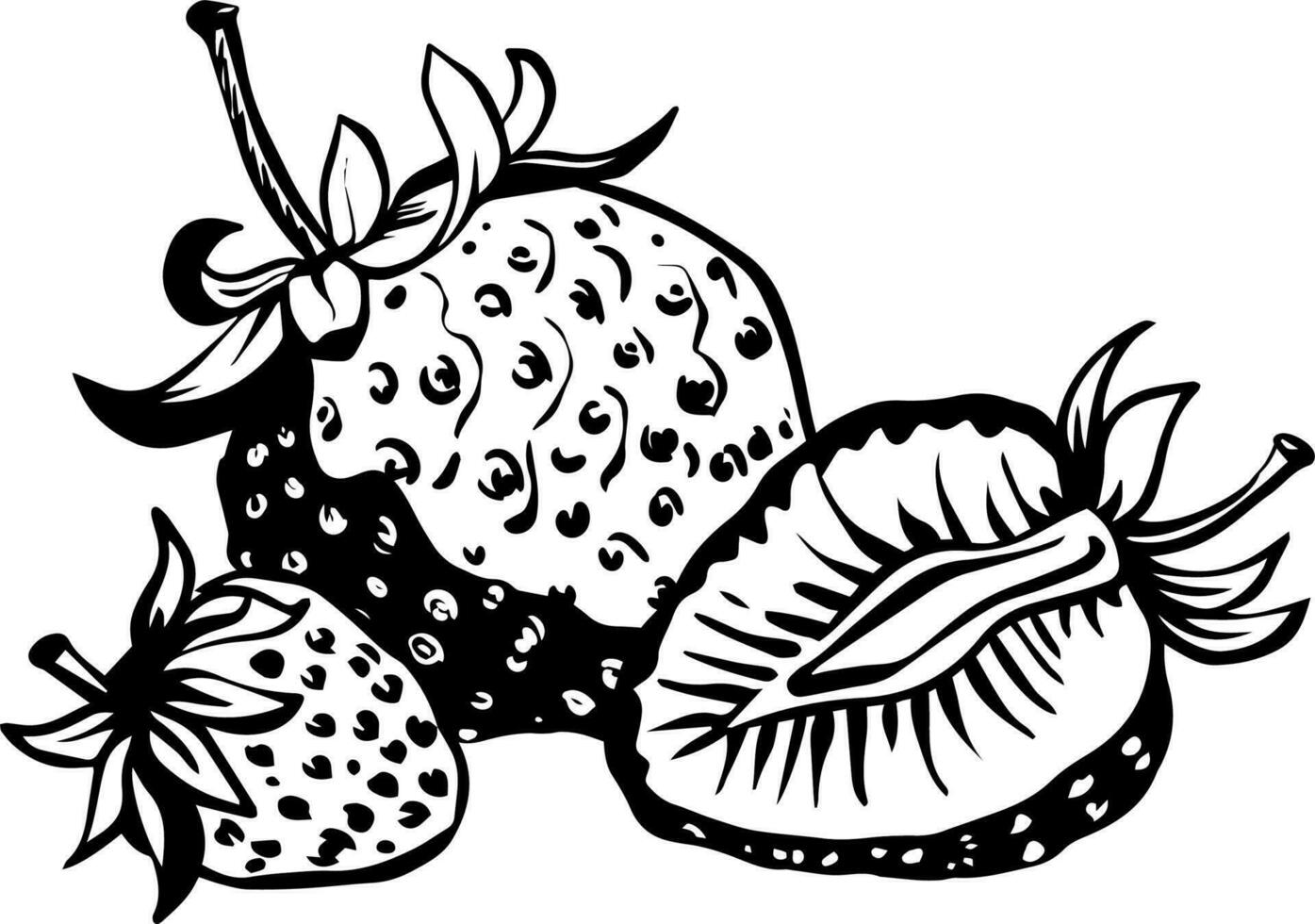 vector garabatear ilustración de Tres fresas con hojas negro contorno en blanco antecedentes