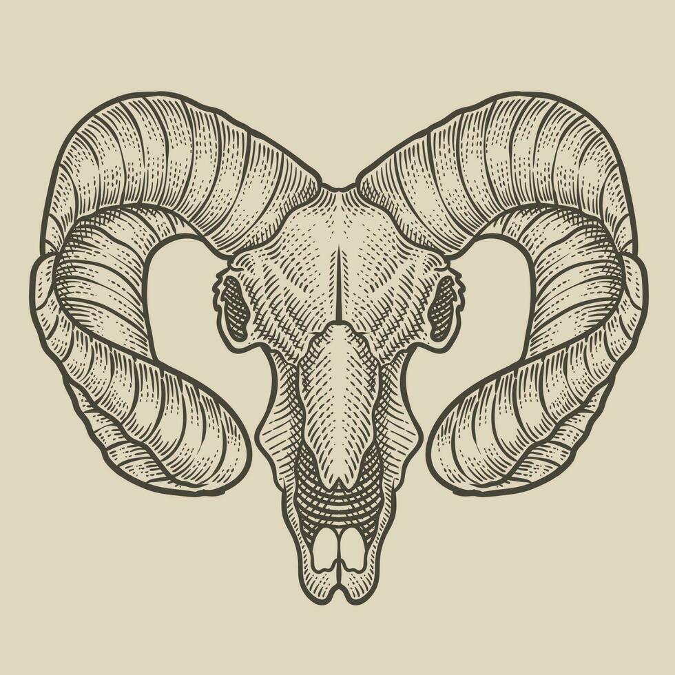 illustration goad skull on black background vector