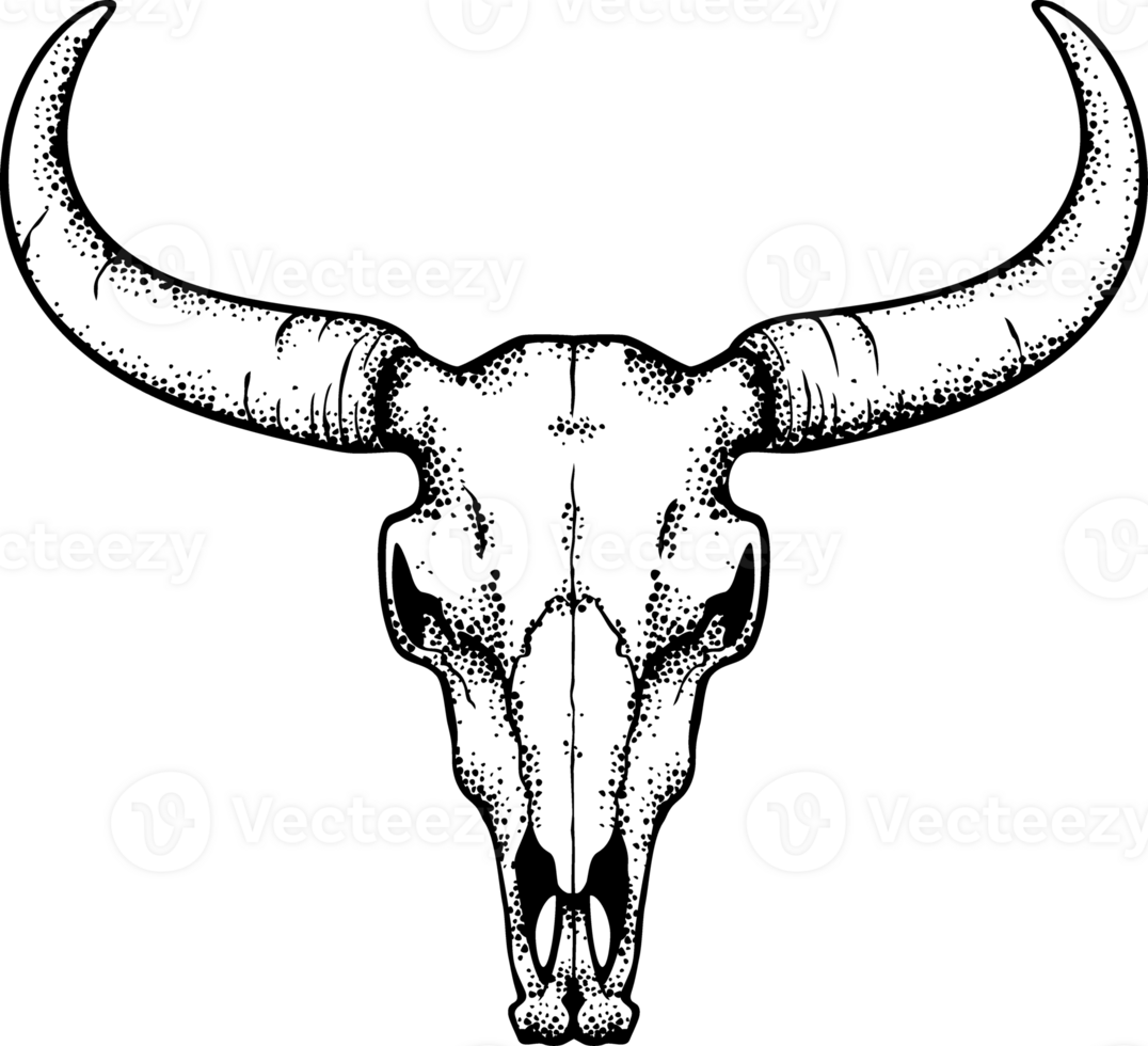 Bull Skull PNG Illustration