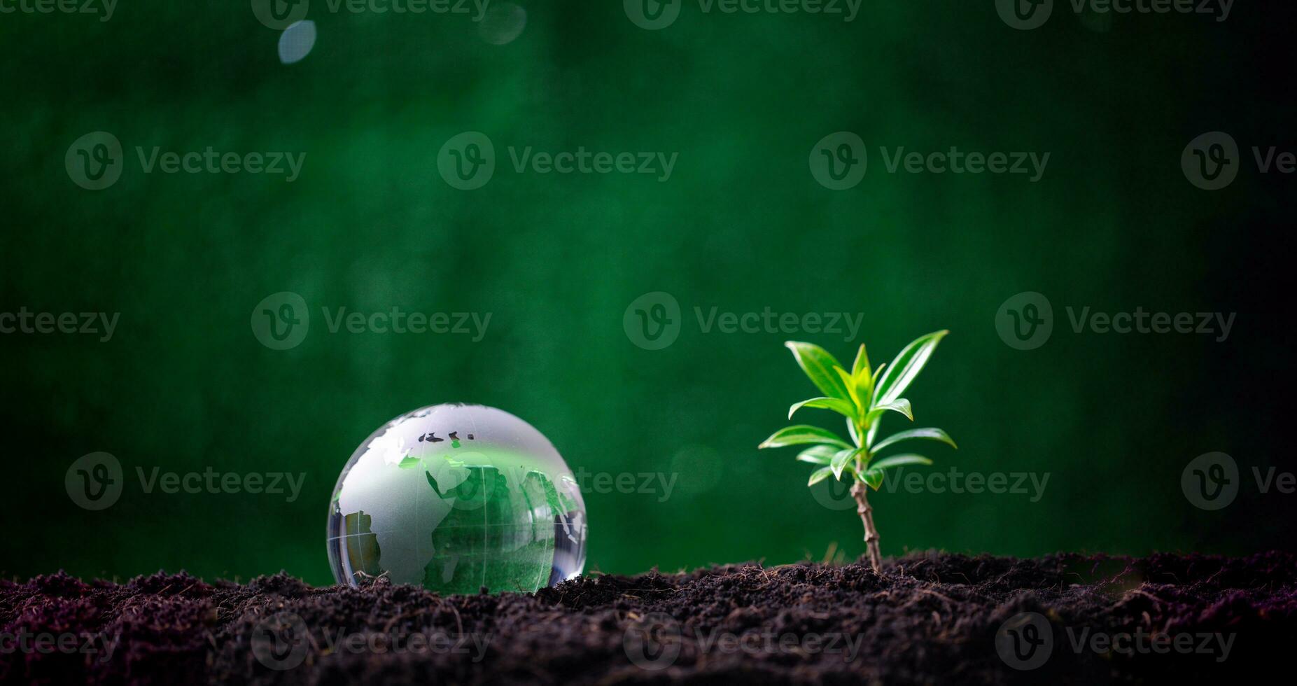 Concept of renewable energy innovation and green earth. Sustainable clean energy sources. Environmental protection, Idea sustainable energy sources.Tree and globe on soil on green nature background. photo