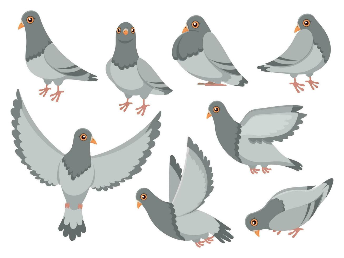 Cartoon pigeon. City dove bird, flying pigeons and town birds doves isolated vector illustration set