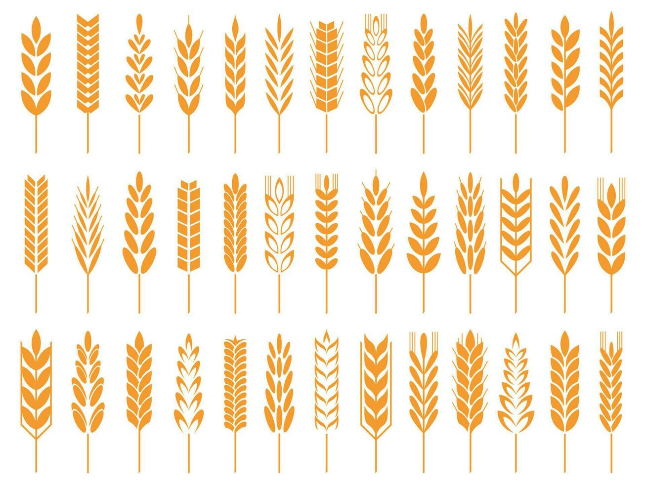 Wheat grain icons. Wheats bread logo, farm grains and rye stalk symbol isolated vector icon