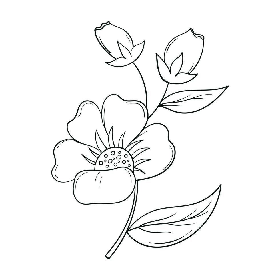 Hand Drawing Flower Vector Outline Illustration