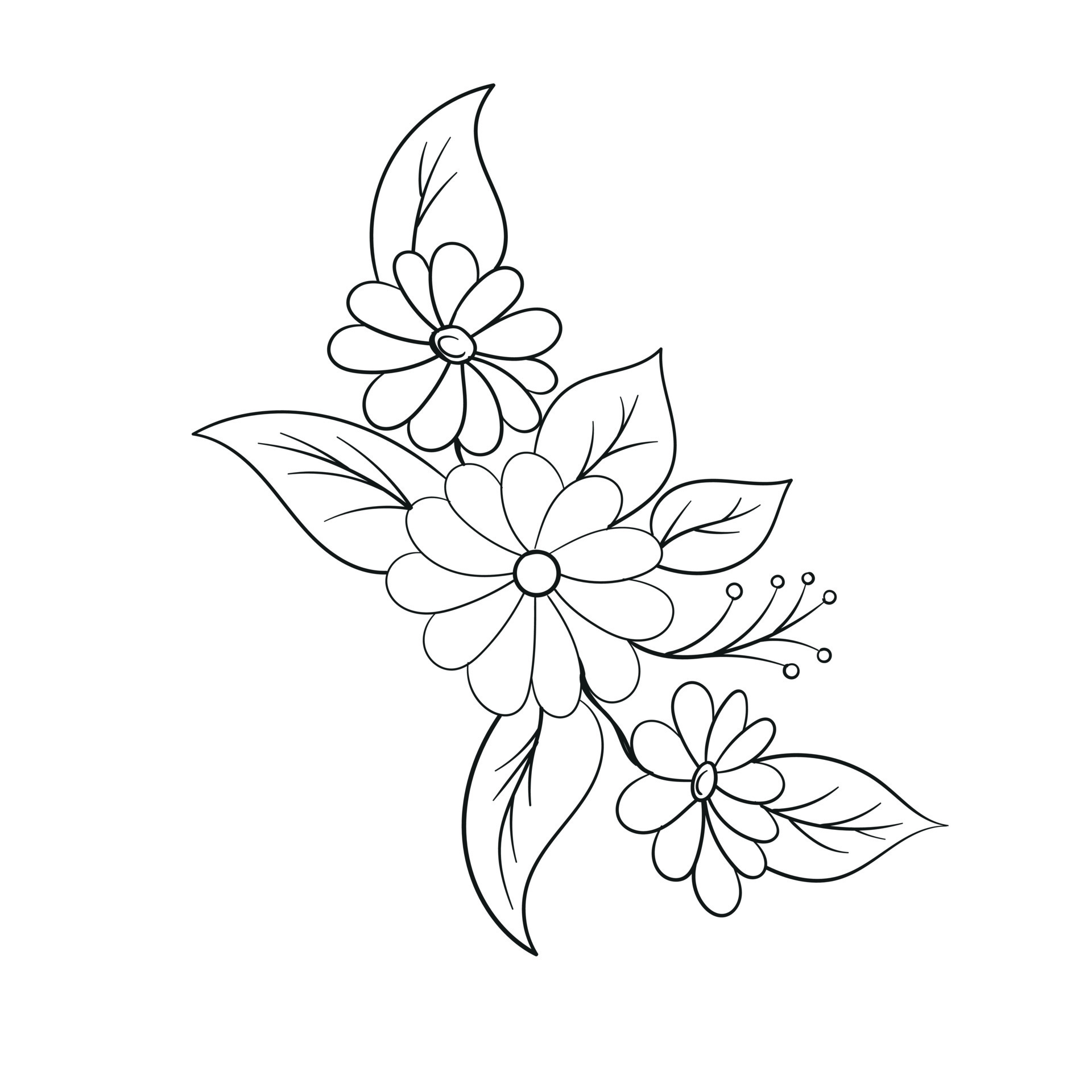 Hand Drawing Flower Vector Outline Illustration 23977390 Vector Art at