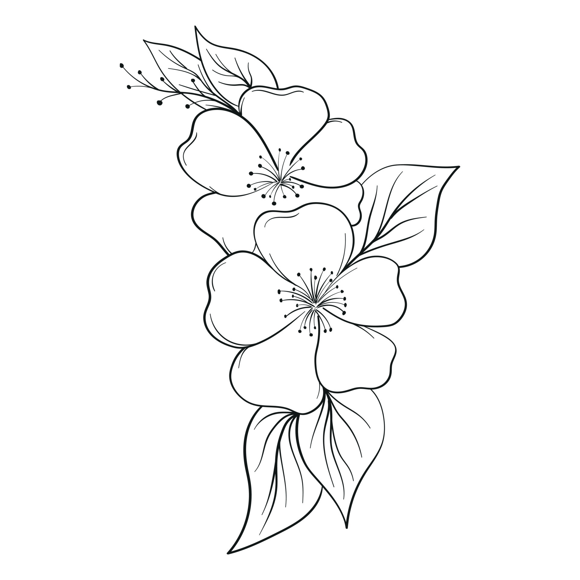 Hand Drawing Flower Vector Outline Illustration 23977393 Vector Art at ...