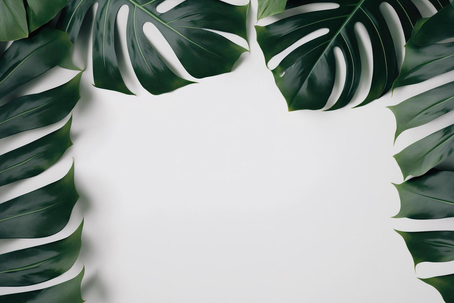 verde hojas monstera naturaleza marco diseño de tropical planta arbusto en blanco antecedentes. ai generado foto