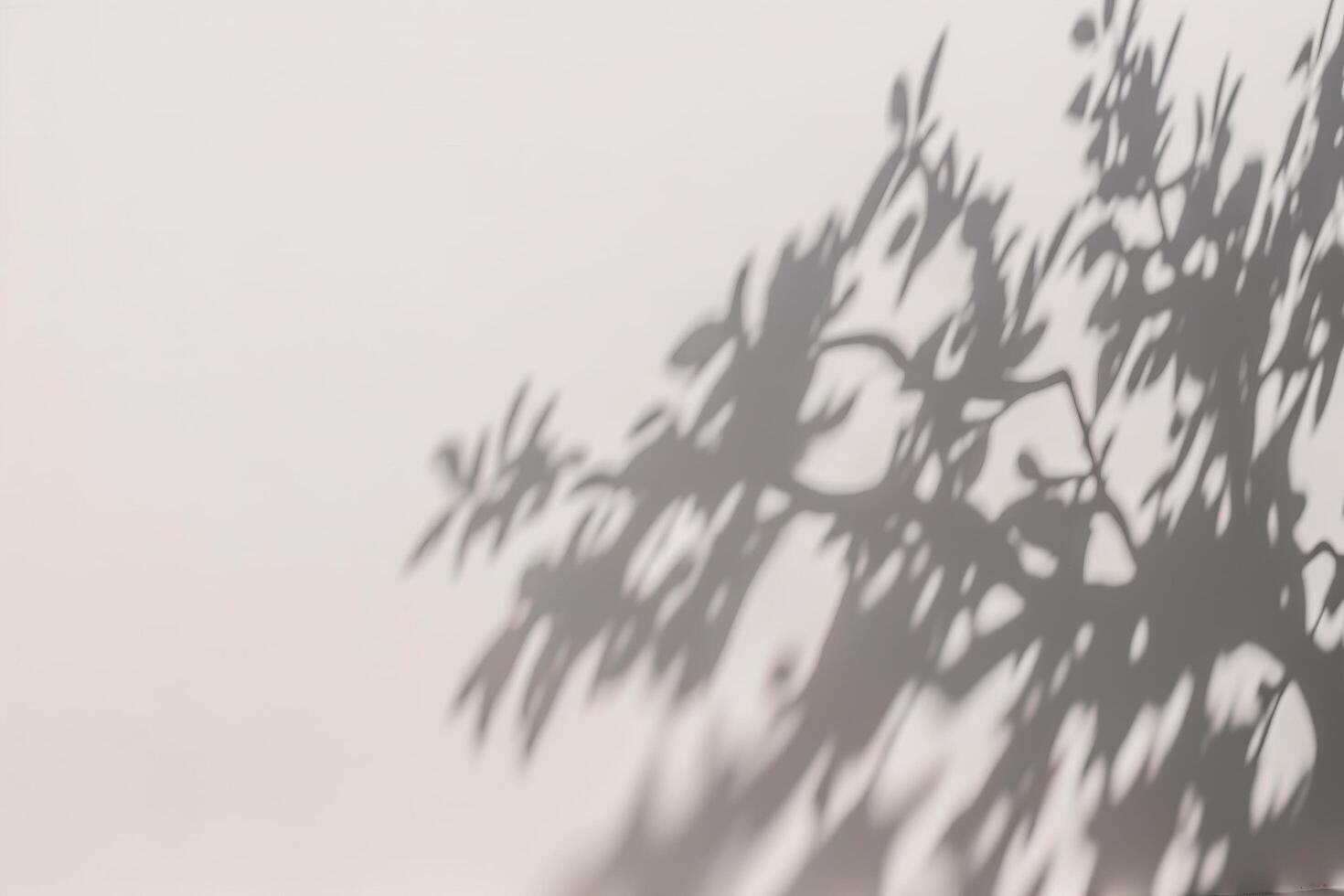 un sombra de un árbol en un blanco pared. ai generado foto