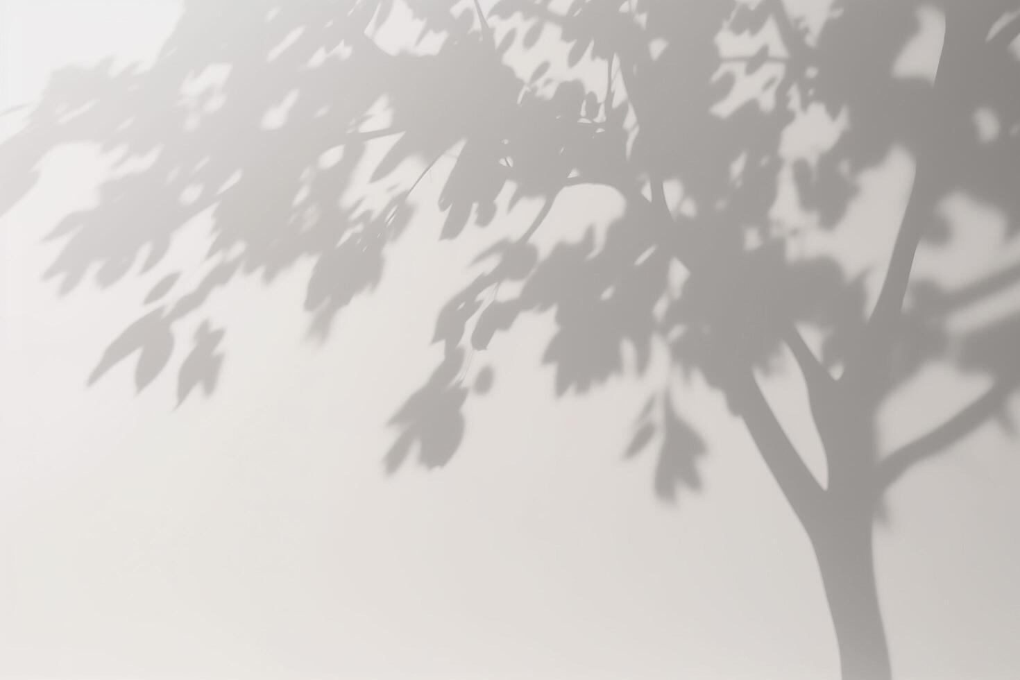 a shadow of a tree on a white wall. photo