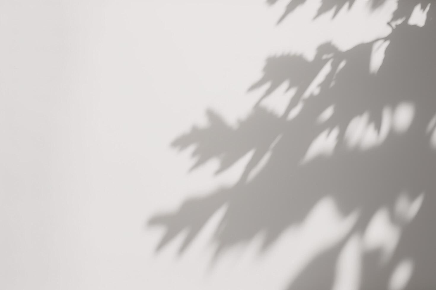a shadow of a tree on a white wall. photo
