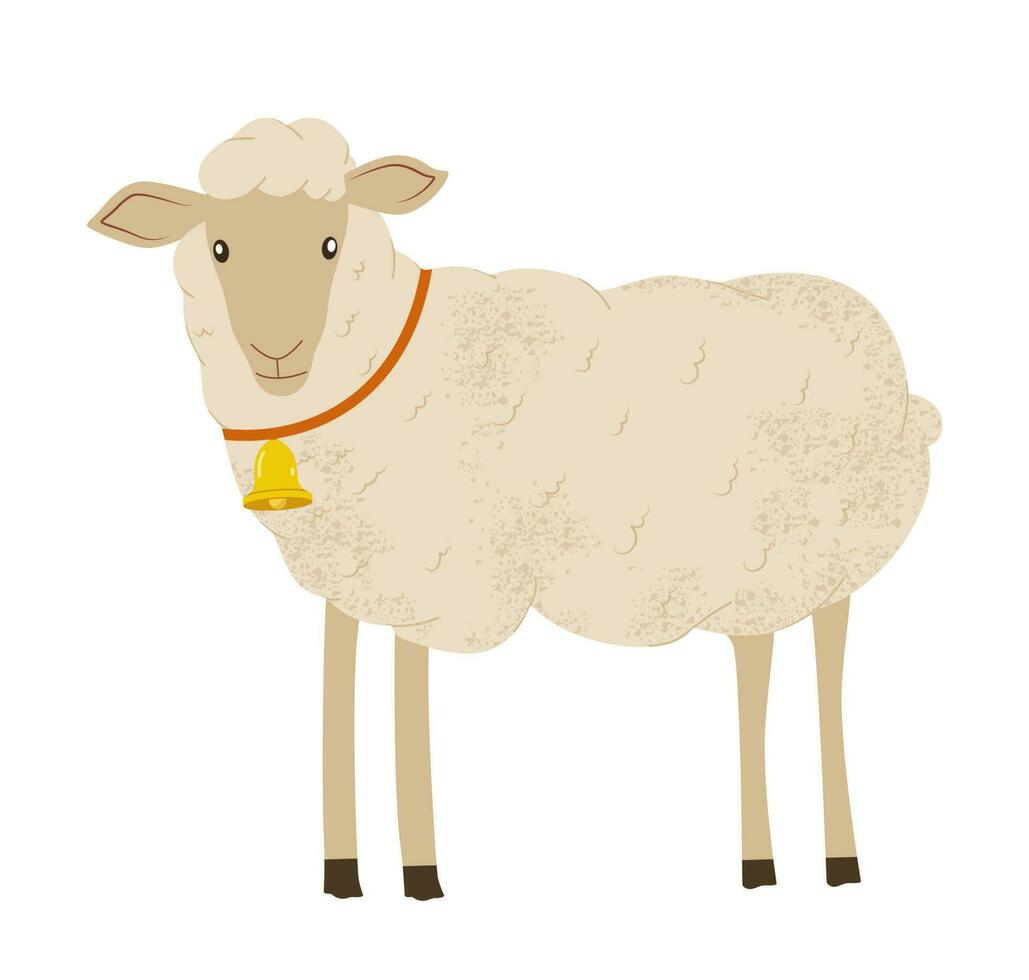 Sheep in flat style vector illustration