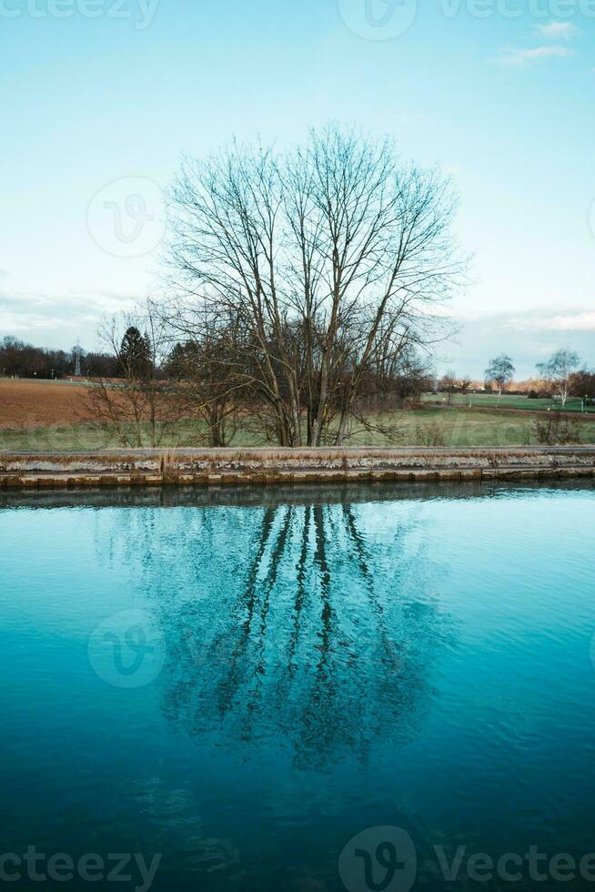 Tree and sky reflection in water photo