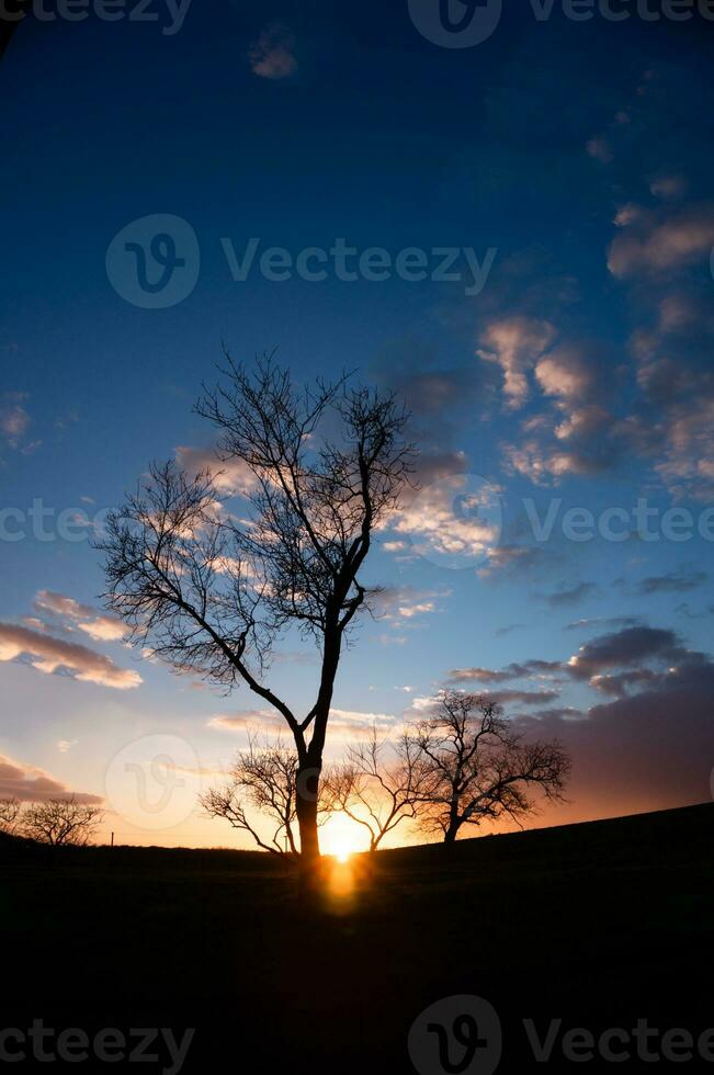 sunset over a field photo