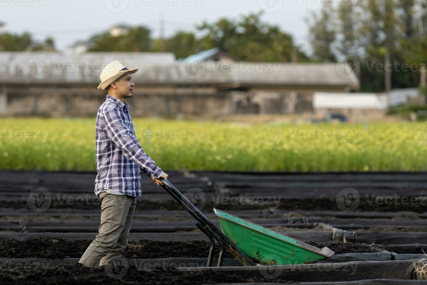 Asian farmer using wheelbarrow to put compost into new organics vegetable garden raised bed preparing summer crops and plant for agriculture and sustainability concept photo