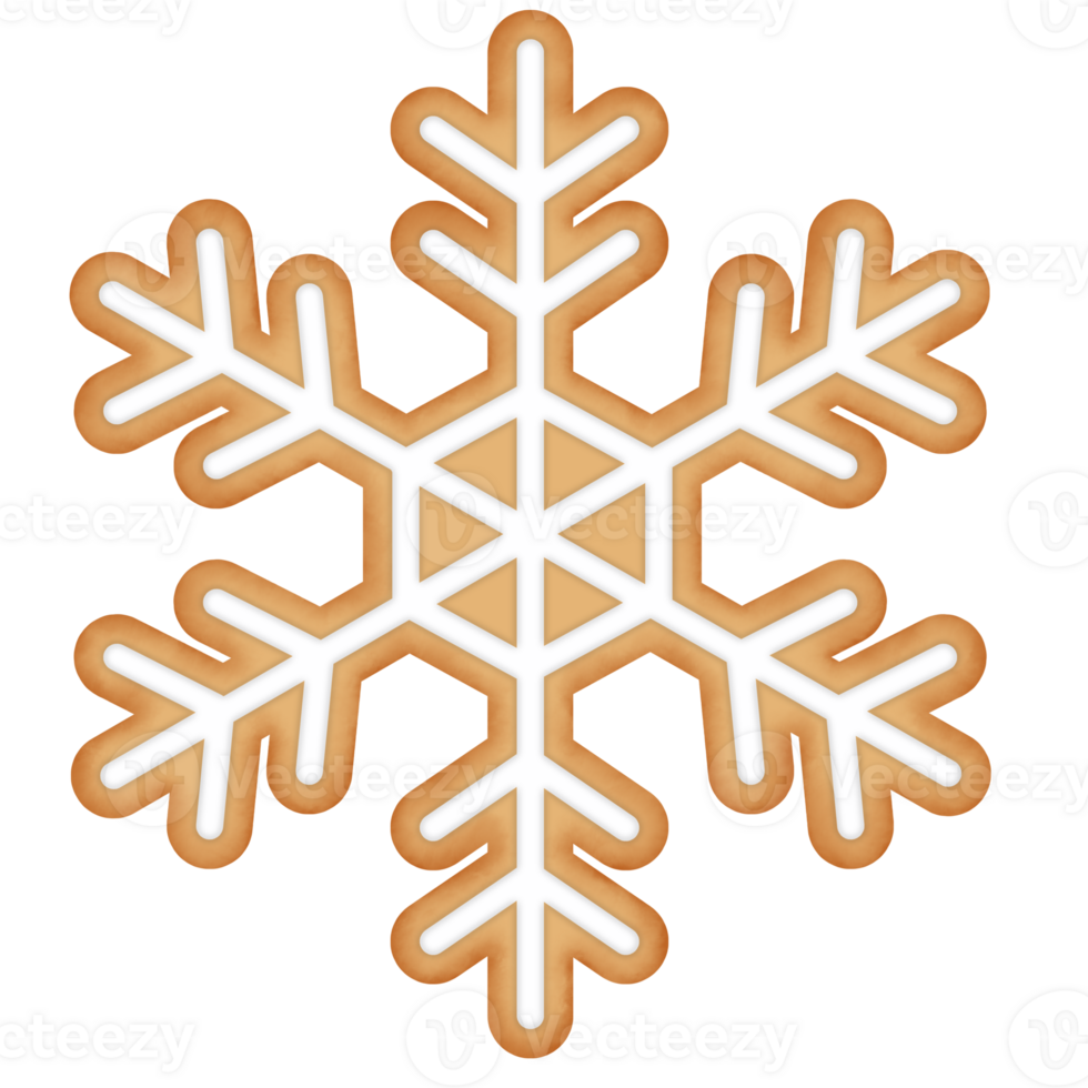 winter snowflake gingerbread illustration png