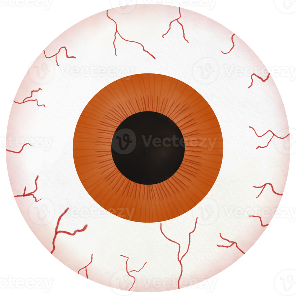 A cartoon human eyeball illustration png