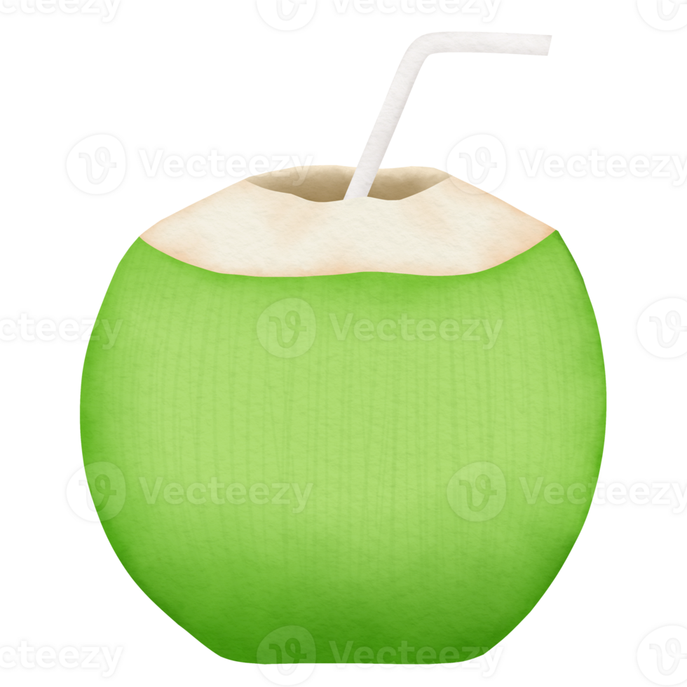 Coconut drink watercolor illustration png
