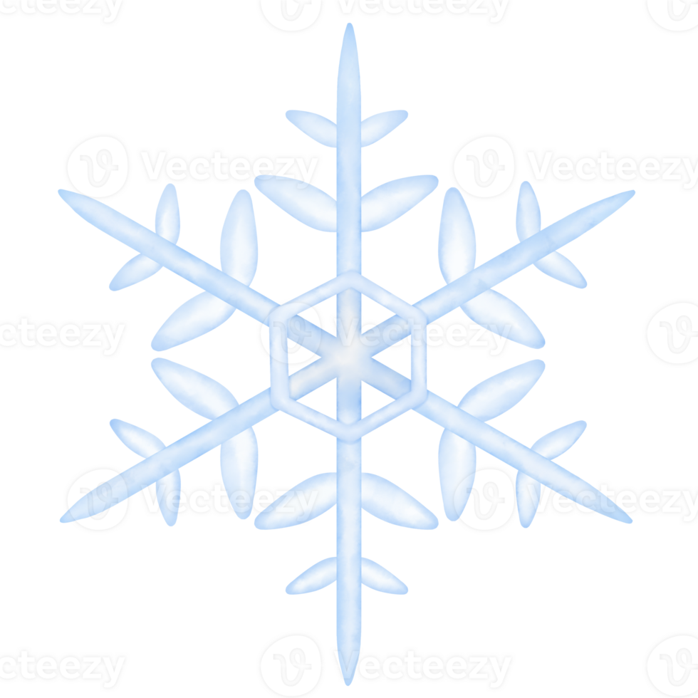 Winter Snowflake watercolor illustration png