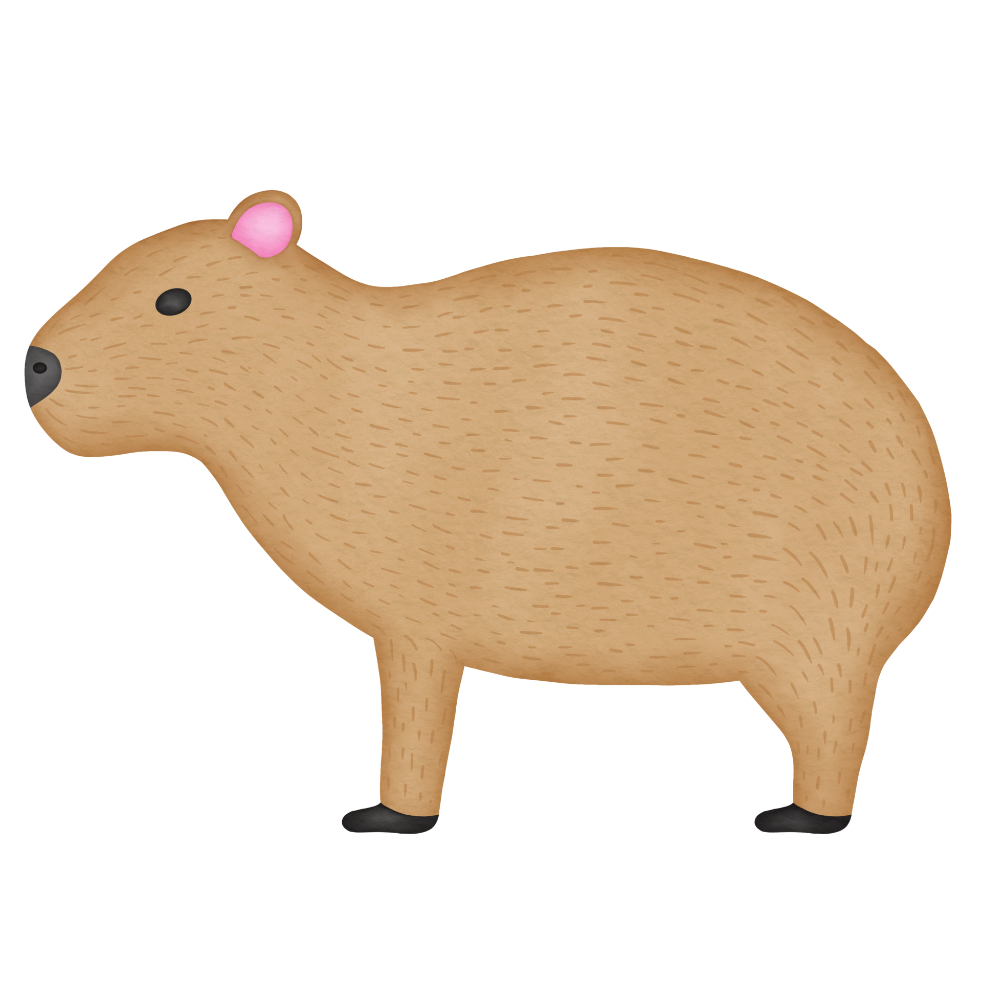 3D Character Artist - Capivara Vera _ Children's animation 2d