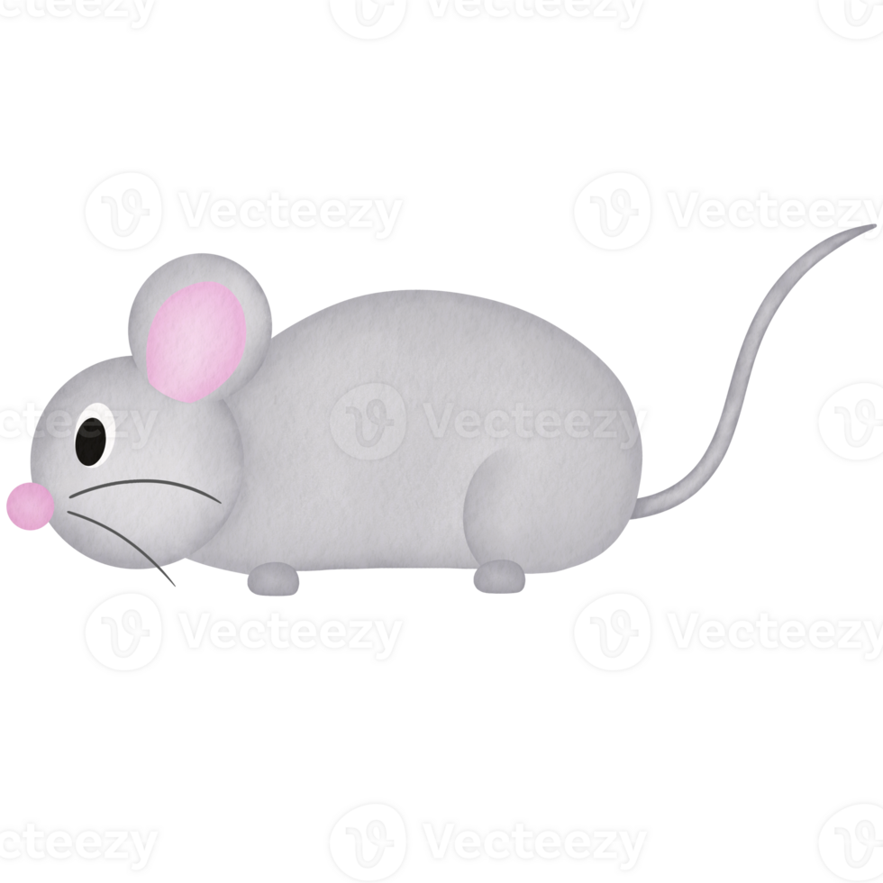 rat cartoon watercolor illustration png