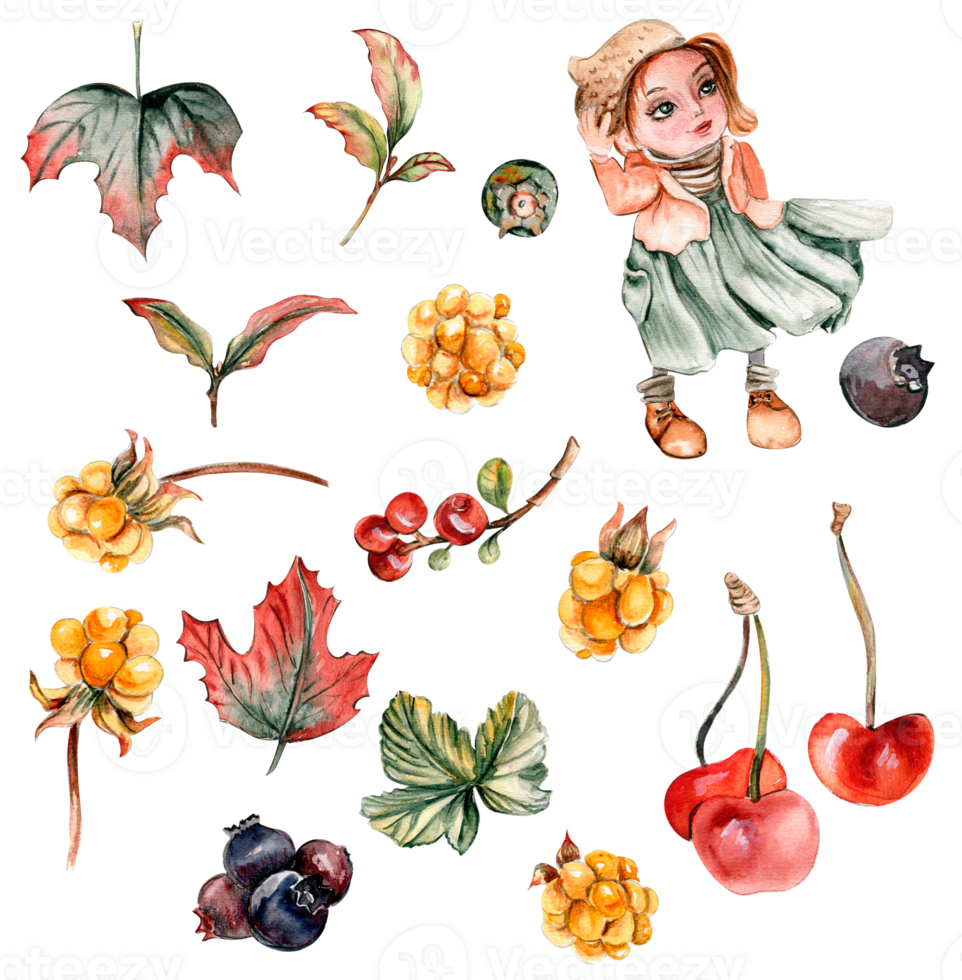 Watercolor set of fall flowers, leaves and berries. Hand drawn autumn leaves and elements. Hand drawn illustration of autumn. Perfect for scrapbooking, kids design, wedding invitation, posters. png