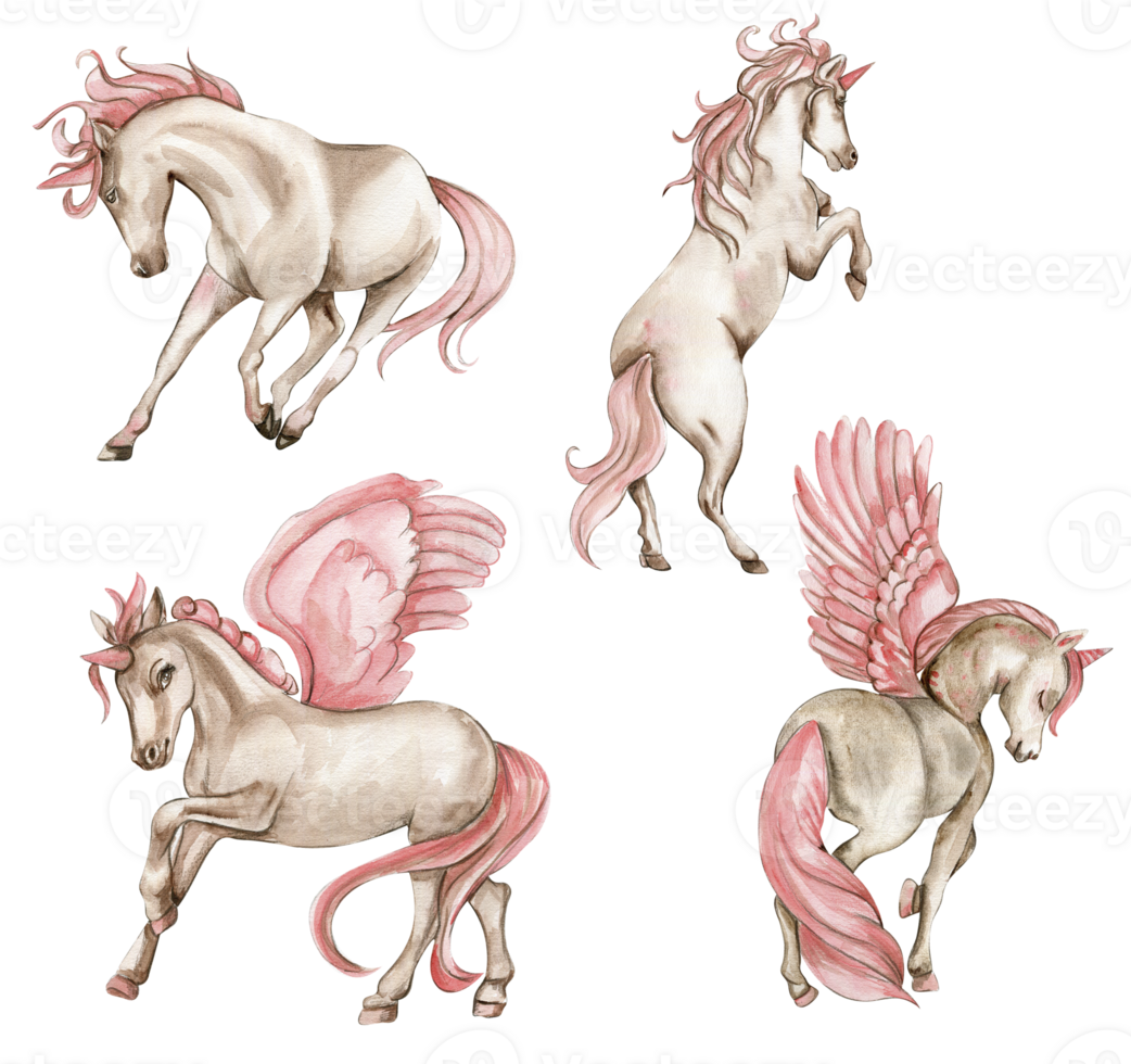 Beautiful, cute, white unicorn with pink wings and pink flowers set. For nursery, baby shower, invitation for birthday party. Watercolor illustration for greeting card, posters, stickers, packaging. png