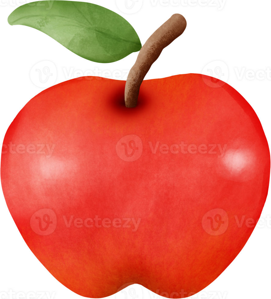 fofa verão vermelho fresco fruta aguarela mão desenhando png