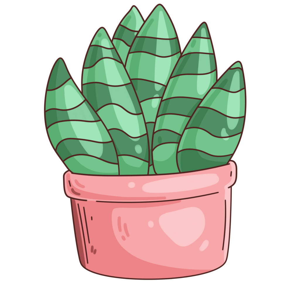 carino cartone animato giardinaggio cactus pianta in vaso disegno illustrazione png
